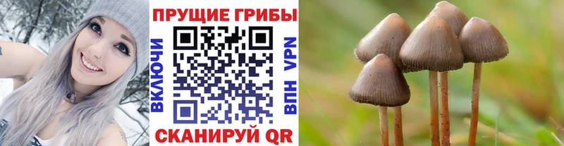 МЕГА рабочий сайт  даркнет сайт  Первомайск  Галлюциногенные грибы Psilocybine cubensis 