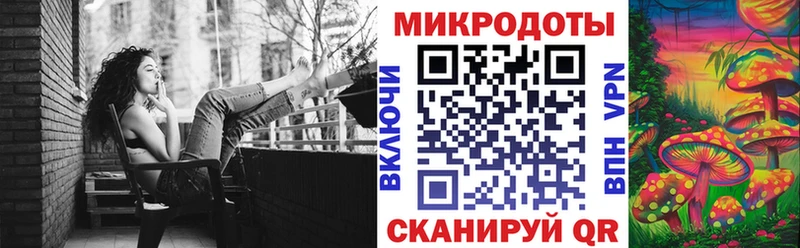 Галлюциногенные грибы Psilocybine cubensis Первомайск